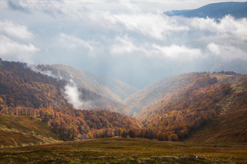 Fall in Carpathian Mountains, Ukraine