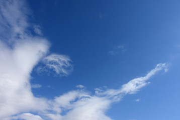 Obraz na płótnie Canvas 青空と雲「空想・雲のモンスターたち（青空のところに薄っすらとモンスターが現れはじめているイメージなど）」（異世界から出現、宇空間からの使者などのイメージ）