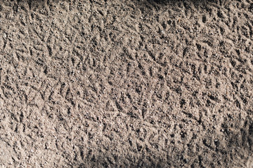 Footprints in the sand