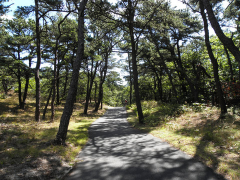 Cape Cod Rail Trail 