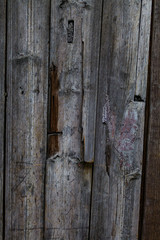an old and rough wood board texture