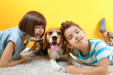 Cute children with dog lying on carpet near color wall