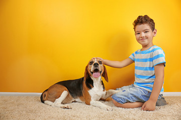 Cute boy with dog near color wall
