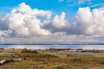 beach view with cloud in the sky