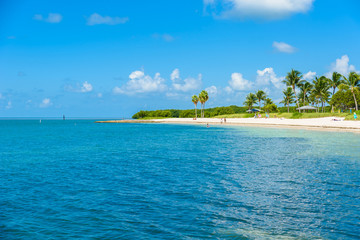 Sombrero Beach with palm trees on the Florida Keys, Marathon, Florida, USA. Tropical and paradise destination for vacation. - obrazy, fototapety, plakaty