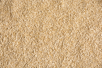 quinoa seeds