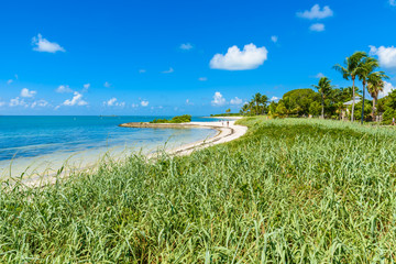 Sombrero Beach with palm trees on the Florida Keys, Marathon, Florida, USA. Tropical and paradise...