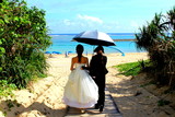 浜辺の結婚式
