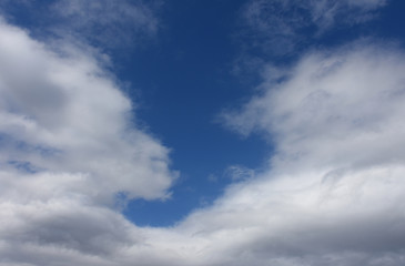  青空と雲「空想・雲のモンスターたち」（何かを言わんばかり、見つめ合う、見上げるなどのイメージ）
