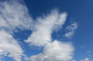 青空と雲「空想・雲のモンスターたち」（思い思いの方向を見る、方向が定まらない、様々な思い、思惑、思いを巡らすなどのイメージなど）