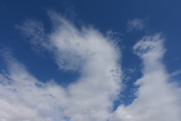 Fototapeta premium 青空と雲「空想・雲のモンスターたち」（顔を出す、頭を上げる、頭角を現すなどのイメージ）