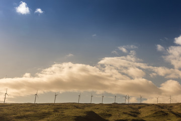 sunset on the wind turbine