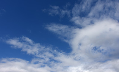 Fototapeta na wymiar 青空と雲「空想・雲のモンスターたち」（待ちわびる、期待を込めて、遠くを見る、見つめるなどのイメージ）