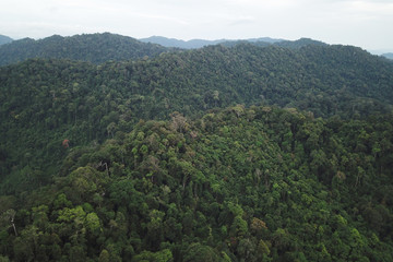 Fototapeta premium Rainforest. Aerial photo of forest and mountain landscape. Thailand, Southeast Asia