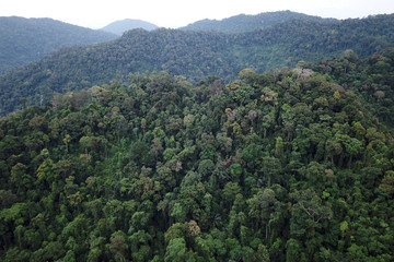Fototapeta na wymiar Rainforest. Aerial photo of forest and mountain landscape. Thailand, Southeast Asia