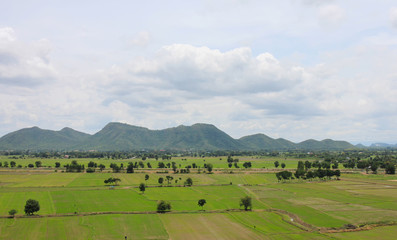 Green field in Thailand.