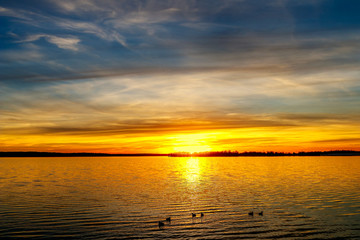 Sunset Over a lake in Oklahoma with ducks swimming .