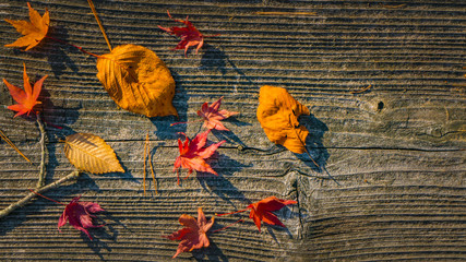 落ち葉の秋背景