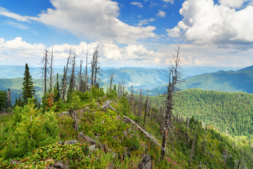 Top of Kokuya Mountain and view on Teletskoye Lake. Altai Republic. Russia