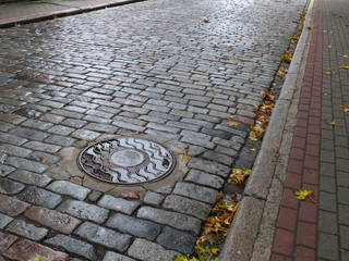 The wet hatch decorated with wavy lines, the stone pavement, the part of pedestrian area and yellow leaves. 