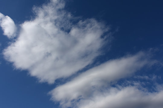 青空と雲「空想・雲のモンスターたち（右斜め上を見る犬の着ぐるみなどのイメージ）」（着ぐるみ、おとぼけ顔、無表情な、物思いにふける、倒れかかるなどのイメージ）