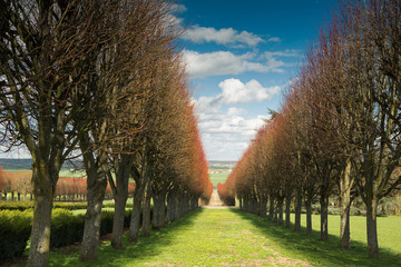 Thoiry Castle - Safari Park, the only park of its kind, located near Paris, and the first safari park in all of Europe.