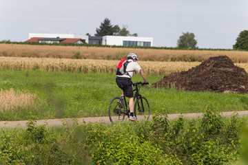 cyclists in a distance view on a summer sunny day © rudolfgeiger