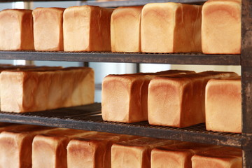 焼きたてのパン