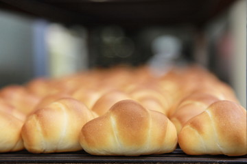 焼き立てのロールパン