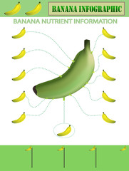banana infographic on white background