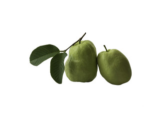 Guava fruit isolated on white the background.