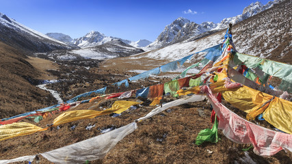 Tibetan landscape in China with prayer flags on foreground and mountains and yaks on background