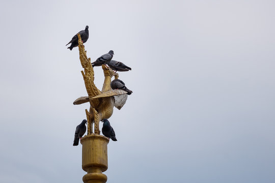 Pigeons on Thai swan street lamp with clear sky