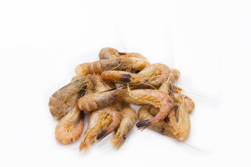 crevettes grises