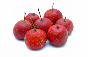 Red Hawthorn fruit isolated on white background