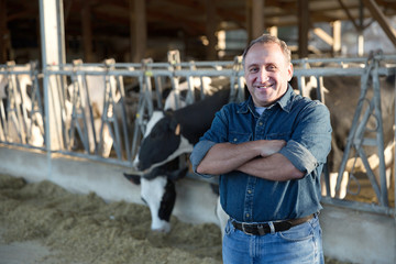 Successful male farmer in cowshed