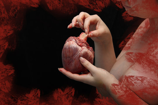 real human heart in beautiful female hands. symbol of love, pain. Insidious nude girl with heart of man. Feminism or patriarchy. postcard st Valentine's Day. Love causing pain. Low key