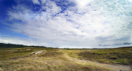 Panoramic of the landscape next to a cliff with dry yellow grass and a background of very green pines. Sky with some clouds