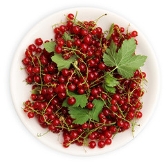 red currant with leaves in plate, isolated on white background