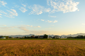 Fototapeta premium 秋の田園風景