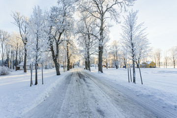Slippery country road in a wintry rural landscape