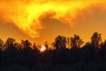 Fototapeta premium Forest in silhouette at a sunset with a colorful sky