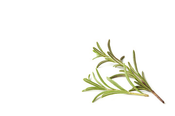 Rosemary isolated on white background, Top view