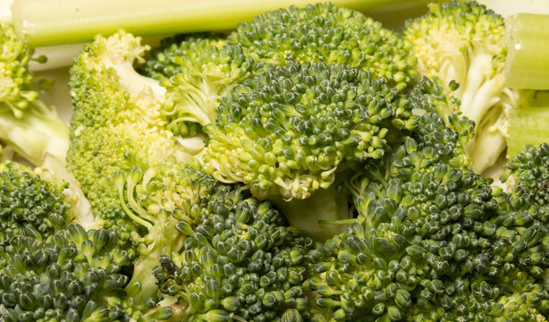 Broccoli Heads close Up 2