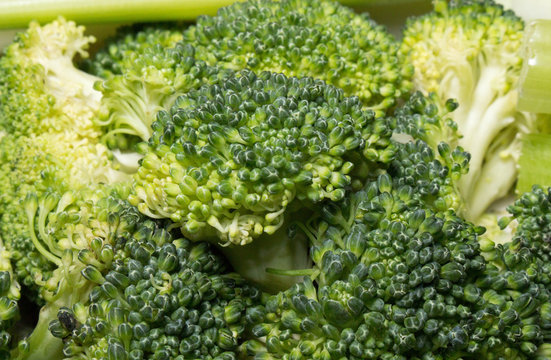 Broccoli Heads close Up