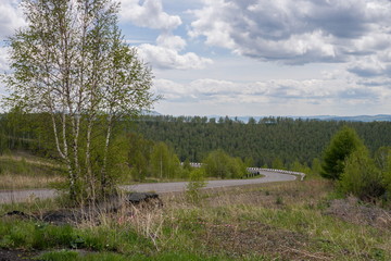 Fototapeta na wymiar Асфальтовая автодорога на фоне леса с берёзами и оградительной лентой в траве, на переднем плане.