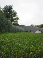 Beautiful green park in europe in summer