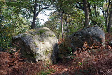Fototapeta na wymiar Climbing site of rocher canon in Fontainebleau forest