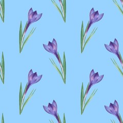 Crocus 4. Seamless floral pattern. Watercolor illustration. Hand-drawing