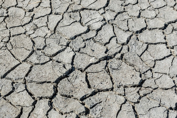 Top view of drought cracked soil texture.Dry mud background texture. Global Warming
